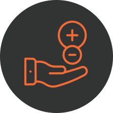 Icon 2